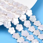 Natural Baroque Keshi Pearl Beads Strands, Nucleated Pearl, Plum Blossom, Seashell Color, 10.5~14x10.5~13x3~5mm, Hole: 0.6mm, about 16pcs/strand, 7.09~7.48 inch(18~19cm)(PEAR-S020-A03-01A)