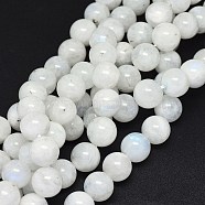 Natural Rainbow Moonstone Beads Strands, Round, 10mm, Hole: 0.8mm, about 40~41pcs/strand, 15.5~16.3 inch(341.5cm)(G-F602-03-10mm)