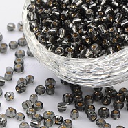 (Repacking Service Available) 6/0 Glass Seed Beads, Silver Lined Round Hole, Round, LiGoht Gorey, 4mm, Hole: 1.5mm, about 12G/bag(SEED-C014-4mm-52)