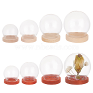 Elite 8 Sets 8 Style Round Glass Dome Cover, Decorative Display Case, Cloche Bell Jar Terrarium with Wood, Mixed Color, 23~35x21.5~36mm, 1 set/style(AJEW-PH0004-87)