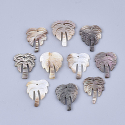 Black Lip Shell Pendants, Coconut Tree, Navajo White, 17.5x15x2mm, Hole: 1mm(SSHEL-S251-25)