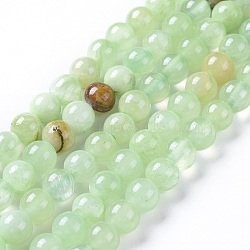 Natural Prehnite Beads Strands, Dyed, Round, 6mm, Hole: 1.2mm, about 65pcs/strand, 15.16 inch(38.5cm)(G-I261-E03-6mm)