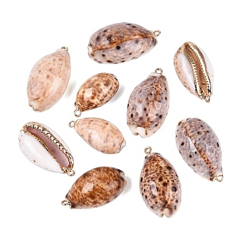 Electroplate Natural Cowrie Shell Pendants, Shell Shape Charms, with Iron Loops and Brass Findings, Peru, Light Gold, 26~36x14~19x11~16mm, Hole: 1.5~1.8mm