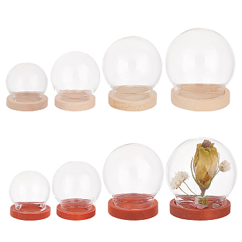 Elite 8 Sets 8 Style Round Glass Dome Cover, Decorative Display Case, Cloche Bell Jar Terrarium with Wood, Mixed Color, 23~35x21.5~36mm, 1 set/style