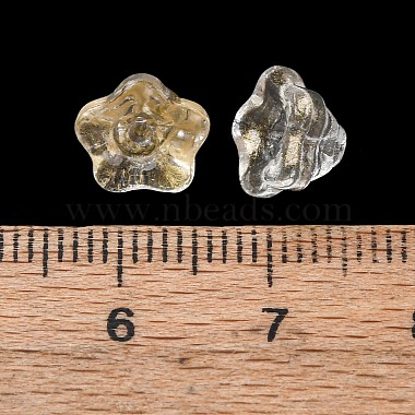 transparente Glasperlen(GLAA-T025-81B-03)-3