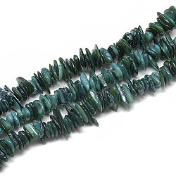 Freshwater Shell Beads Strands, Dyed, Chip, Teal, 8~28x6~8x1~4.5mm, Hole: 1mm, about 340~380pcs/strand, 29.9 inch(SHEL-S272-01)