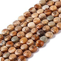 Natural Picture Jasper Beads Strands, Faceted, Flat Round, 6~7x4mm, Hole: 1mm, about 59pcs/strand, 14.96''(38cm)(G-D0003-A89)
