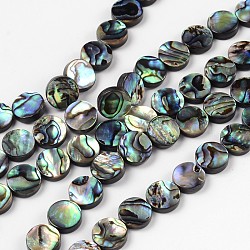 Natural Abalone Shell/Paua Shell Beads Strands, Flat Round, Colorful, 10x3mm, Hole: 0.5mm, about 40pcs/strand, 16 inch(X-SSHEL-G003-5-10x3mm)