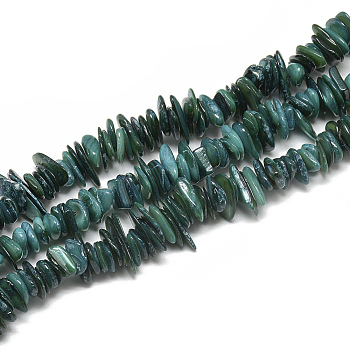 Freshwater Shell Beads Strands, Dyed, Chip, Teal, 8~28x6~8x1~4.5mm, Hole: 1mm, about 340~380pcs/strand, 29.9 inch