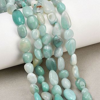 Natural Amazonite Nuggets Beads Strands, 8~10x6~8x3~6mm, Hole: 1mm, about 45pcs/strand, 14.96''(38cm)