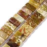 Natural Dragon Blood Jabe Beads Strands, Rectangle, 10x20x5.5mm, Hole: 1mm, about 20pcs/strand, 7.99''(20.3cm)(G-E572-05)