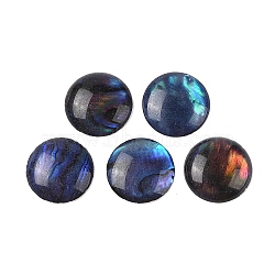 Natural Abalone Shell/Paua Shell Resin Cabochons, Half Round/Dome, Marine Blue, 10x2mm(SSHEL-K003-10MM-03)