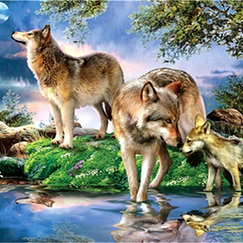 DIY Wolf & Scenery Diamond Painting Kits, including Resin Rhinestones, Diamond Sticky Pen, Tray Plate and Glue Clay, Colorful, 300x400mm