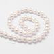 Rainbow Plated Shell Pearl Bead Strands(BSHE-L025-02-6mm)-2