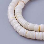 Natural Shell Beads Strands, Dyed, Disc, Seashell Color, 4.9~6x0.4~6mm, Hole: 1.4mm, about 15.94 inch~16.14 inch(40.5~41cm)(X-SSHEL-E571-49I)