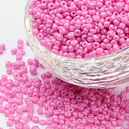 Baking Paint Glass Seed Beads, Hot Pink, 6/0, 4~5x3~4mm, Hole: 1~2mm, about 450pcs/50g, 50g/bag, 18bags/2pound(SEED-US0003-4mm-K2)