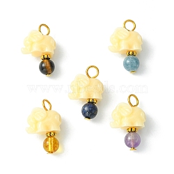 Opaque Resin and Natural Mixed Stone Pendants, with Iron and Alloy Findings, Elephant Charm with Round, Golden, 23x17x8mm, Hole: 3mm(PALLOY-JF01765-01)