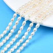 Natural Cultured Freshwater Pearl Beads Strands, Rice, Seashell Color, 5.5~9x4~5.5mm, Hole: 0.6mm, about 56~57pcs/strand, 13.94 inch~14.17 inch(35.4cm~36cm)(X-PEAR-N012-04B)