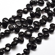 Natural Obsidian Nuggets Bead Strands, 8~22x7~16x4~8mm, Hole: 1mm, about 16 inch(G-M204-56)