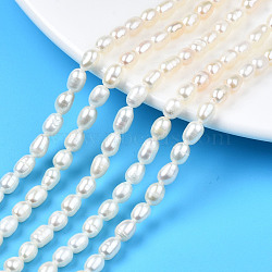 Natural Cultured Freshwater Pearl Beads Strands, Rice, Seashell Color, 5.5~9x4~5.5mm, Hole: 0.6mm, about 56~57pcs/strand, 13.94 inch~14.17 inch(35.4cm~36cm)(X-PEAR-N012-04B)