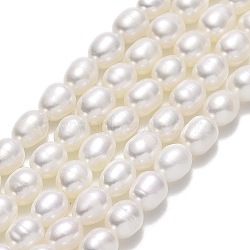 Natural Cultured Freshwater Pearl Beads Strands, Rice, Linen, 6.5~7.5x5~5.5mm, Hole: 0.6mm, about 53pcs/strand, 14.17''(36cm)(PEAR-J006-17E-01)