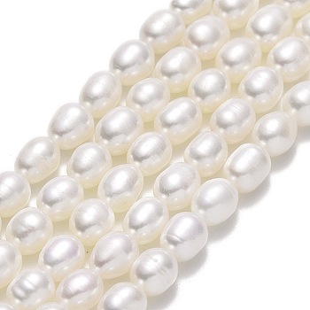 Natural Cultured Freshwater Pearl Beads Strands, Rice, Linen, 6.5~7.5x5~5.5mm, Hole: 0.6mm, about 53pcs/strand, 14.17''(36cm)