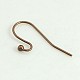 Brass Hook Earrings(KK-KS0001-08R-NR)-2