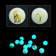 Luminous Style Glass Beads, Glow In The Dark Beads, Round with Twelve Constellations Pattern, Aries, 10mm(LUMI-PW0003-08A)