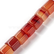 Natural Red Agate Beads Strands, Polygon, 14x14x10.5mm, Hole: 1mm, about 20~21pcs/strand, 8.07~8.46 inch(20.5~21.5cm)(G-C026-B03)