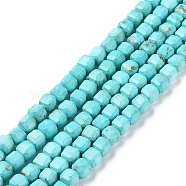 Natural Howlite Beads Strands, Dyed, Faceted Cube, Cyan, 5x5x5mm, Hole: 0.8mm, about 78pcs/strand, 15.20~15.35 inch(38.6~39cm)(G-G001-A01-02)