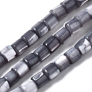Natural Trochid Shell/Trochus Shell Bead Strands, Dyed, Column, Gray, 3.5x3.5mm, Hole: 1mm, about 111~117pcs/strand, 15.35 inch~15.94 inch(39~40.5cm)(SSHEL-N034-77-C01)