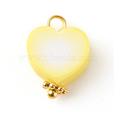 Polymer Clay Charms(PALLOY-JF00678)-2