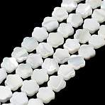 Natural Trochus Shell Beads Strands, Flower, Snow, 9.5x10x3mm, Hole: 0.6mm, about 42~43pcs/strand, 15.75''(40cm)(X-BSHE-P033-07)