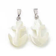 Natural Trochid Shell/Trochus Shell Pendants, Anchor Charms, with Platinum Tone Iron Findings, Seashell Color, 24x14.5x4mm, Hole: 6x2.5mm(SSHEL-K027-13)