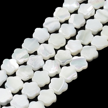 Natural Trochus Shell Beads Strands(X-BSHE-P033-07)-1