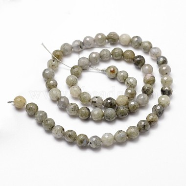 Natural Labradorite Beads Strands(X-G-D840-10-6mm)-2