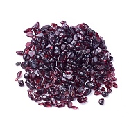 Natural Garnet Beads, Undrilled, Chips, 5~9x3~6x2~4mm, about 100g/bag(G-I221-15)