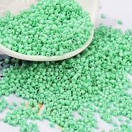 Baking Paint Glass Seed Beads, Cylinder, Pale Green, 2x1.5mm, Hole: 1mm, about 5599pcs/50g(X-SEED-S042-05B-59)