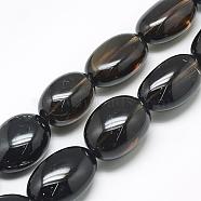 Natural Smoky Quartz Beads Strands, Tumbled Stone, Nuggets, 28~35x20~30x15~25mm, Hole: 2mm, about 12pcs/strand, 15.7 inch(G-R439-30D)