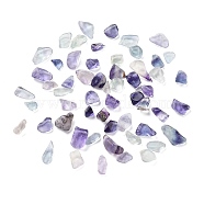 Natural Fluorite Beads, No Hole/Undrilled, Chip, 3~10x2~5x1~3mm, about 13880pcs/1000g(G-L491-03)