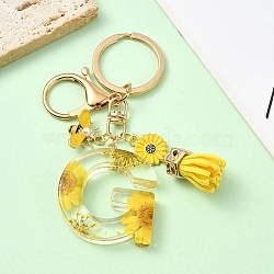 Resin & Alloy Enamel Keychain, with Alloy Clasp and Iron Rings, 60mm(X1-KEYC-YW00134-07)