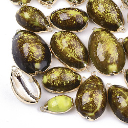 Spray Paint & Electroplate Cowrie Shell Pendants, with Iron Findings, Light Gold, Yellow, 20~38x12~25x9~17mm, Hole: 2mm(SSHEL-S262-01F)