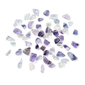 Natural Fluorite Beads, No Hole/Undrilled, Chip, 3~10x2~5x1~3mm, about 13880pcs/1000g