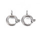 304 Stainless Steel Spring Ring Clasps(STAS-N095-049P)-1