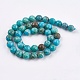 Dyed & Heated Natural Magnesite Beads Strands(TURQ-F010-11-6mm)-1