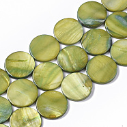 Freshwater Shell Beads Strands, Dyed, Flat Round, Olive, 19.5~20.5x2.5~3.5mm, Hole: 1mm, about 20pcs/Strand, 15.63 inch~16.02 inch(SHEL-T014-011D)