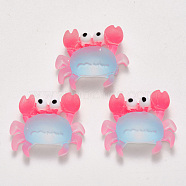Translucent Frosted Resin Cabochons, Crab, Light Sky Blue, 22x25~26x7mm(X-CRES-N022-12)