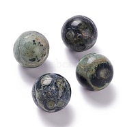 Natural Kambaba Jasper Beads, No Hole/Undrilled, for Wire Wrapped Pendant Making, Round, 20mm(G-D456-10)