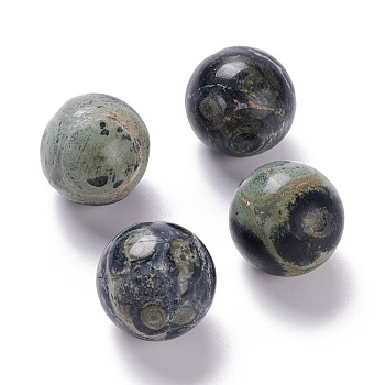Natural Kambaba Jasper Beads, No Hole/Undrilled, for Wire Wrapped Pendant Making, Round, 20mm