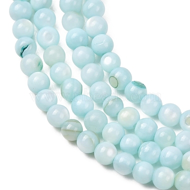Dyed Natural Freshwater Shell Beads Strands(SH-CBA2978-07A-01)-2